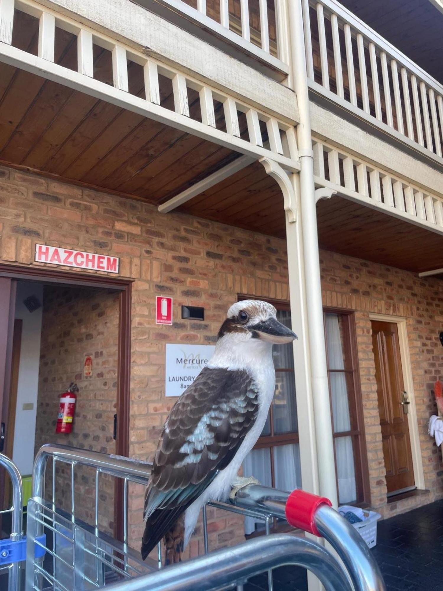 Hotel Mercure Port Of Echuca